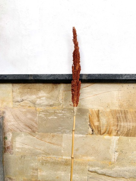 Bambus-Stab mit Trockenblumen, braun, H 180 cm, Ø 7 cm