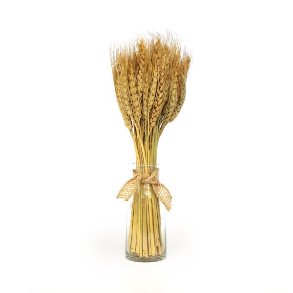 Strauß aus wildem Weizen im Glas, H 35 cm