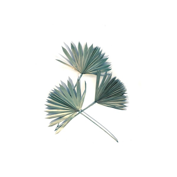 Palmblätter blau, H 60 cm, B 35 cm