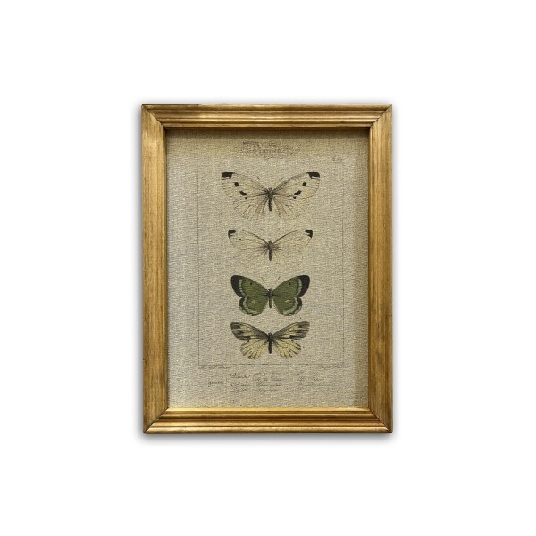 Wandbild 'Schmetterlinge', im Rahmen, B 33 cm, H 43 cm