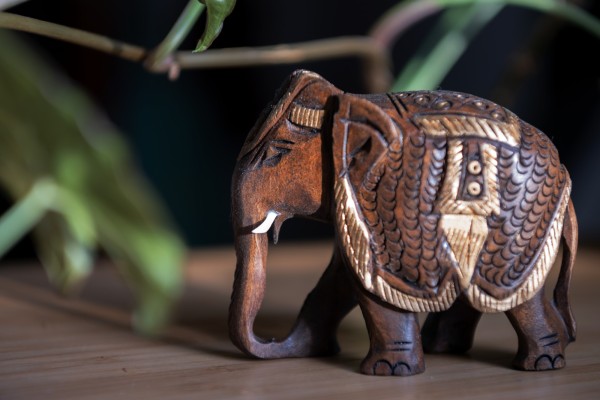 Elefant aus Holz mit Sattel, braun, gold, H 8 cm, B 10 cm, T 5 cm