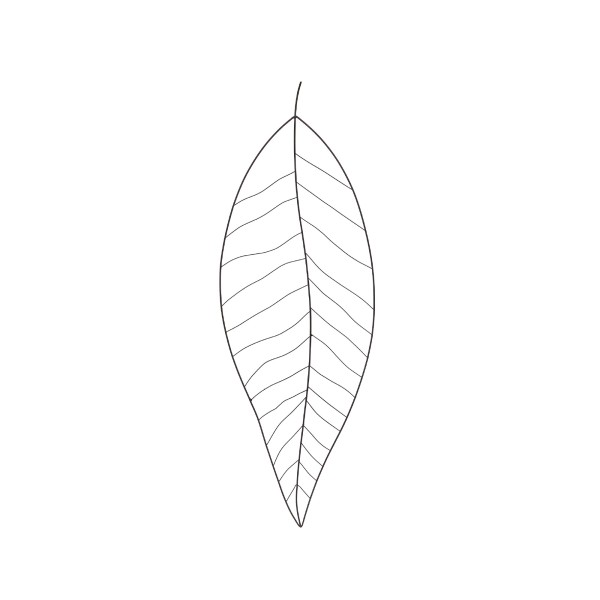 Wanddeko 'Palmenblatt', aus Draht, H 102 cm, B 32 cm