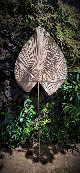 Palmenblatt natur, H 120 cm, B 45 cm