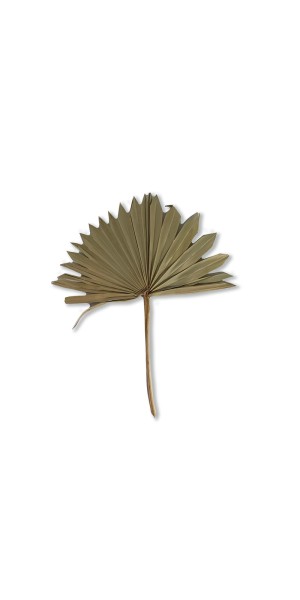 Palmblätter beige, H 60 cm, B 35 cm