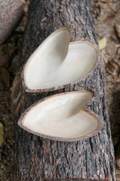 Schale in Herzform, groß, 'Mangoholz', natur, T 30 cm, B 23 cm, H 7 cm