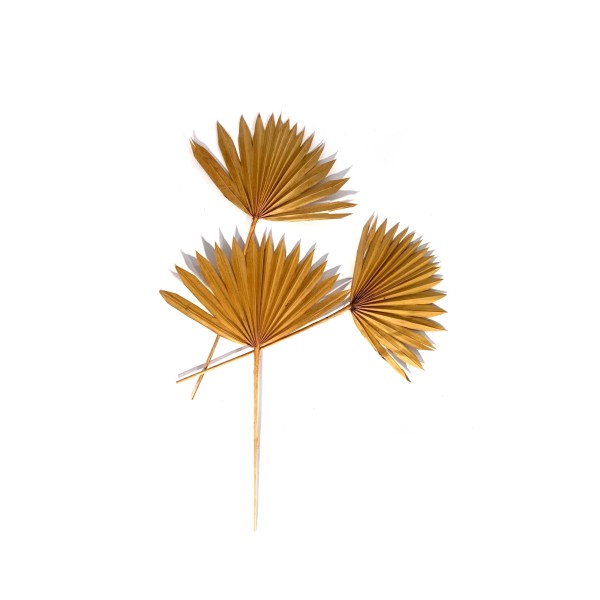 Palmblätter gelb, H 60 cm, B 35 cm