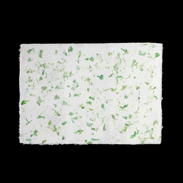 Geschenkpapier mit Grün, weiß-grün, B 80 cm, L 55 cm