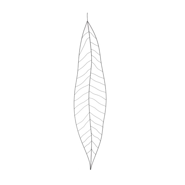 Wanddeko 'Palmenblatt', aus Draht, H 150 cm, B 32 cm